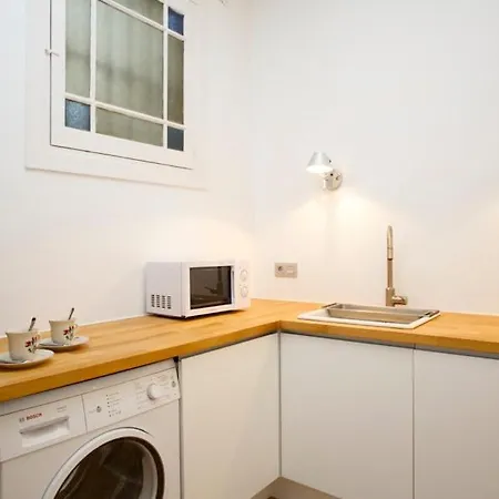 Apartment Barcelonaforrent The Claris Ii Barcelona